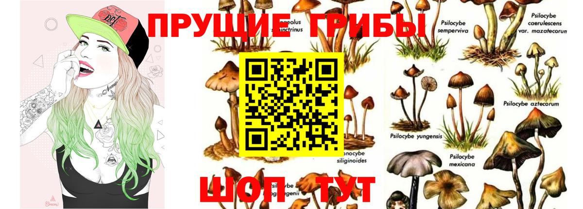 Псилоцибиновые грибы ЛСД Грязи