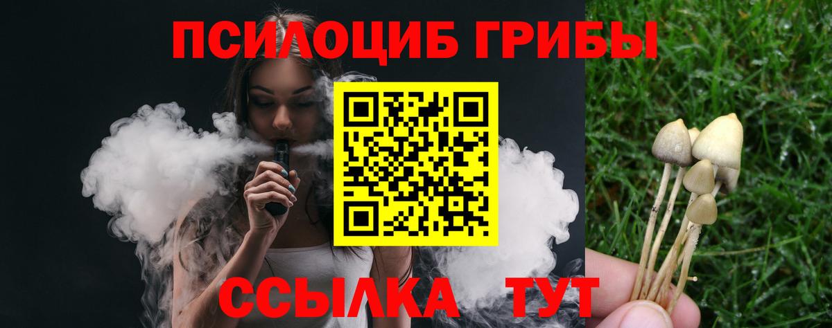 Грязи  закладки  Вход с VPN  Галлюциногенные грибы прущие грибы 